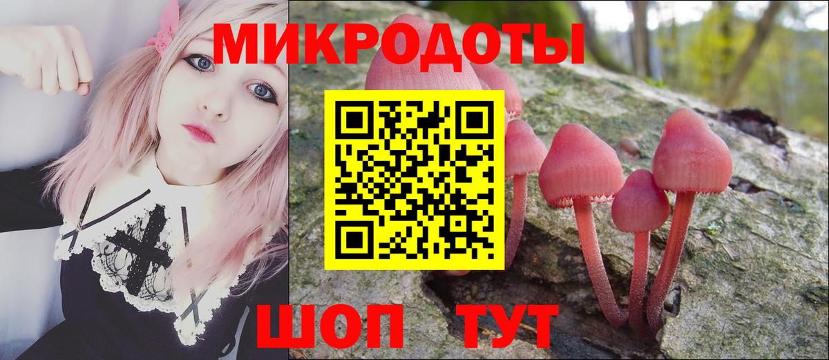 Галлюциногенные грибы Psilocybe Ржев